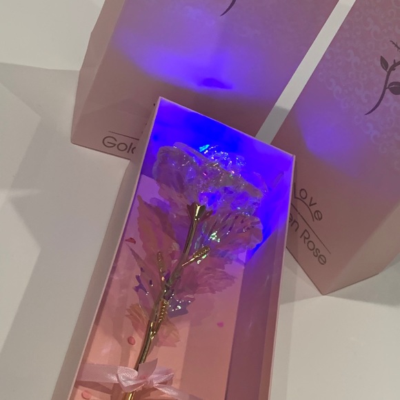 Colorful roses - Picture 2 of 3